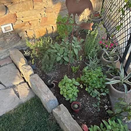 Casa Rosa, Panoramica, Piscina, Tra Langhe E Monferrato